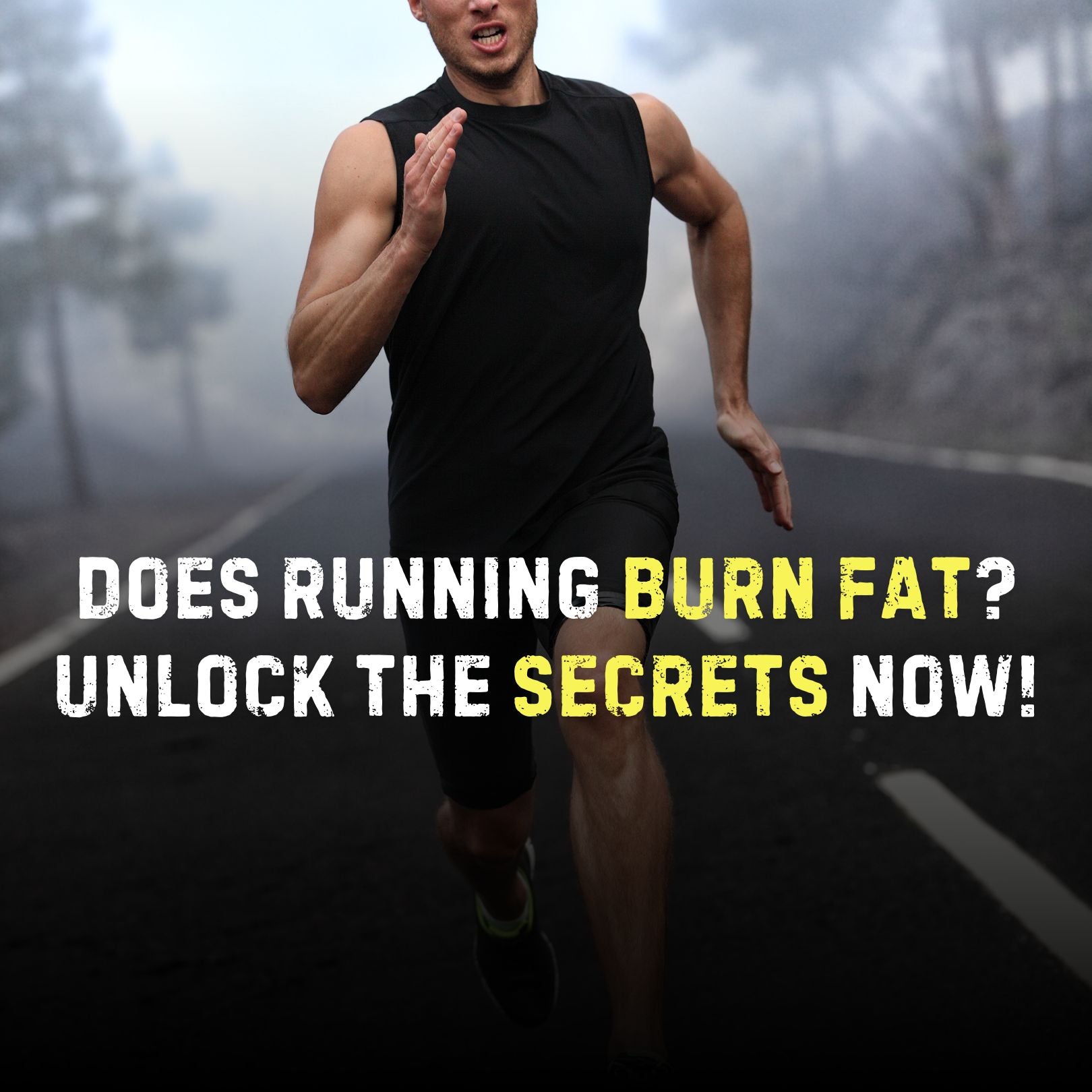 Does Running Burn Belly Fat? Proven Tips to Torch Calories - Stealth Labz