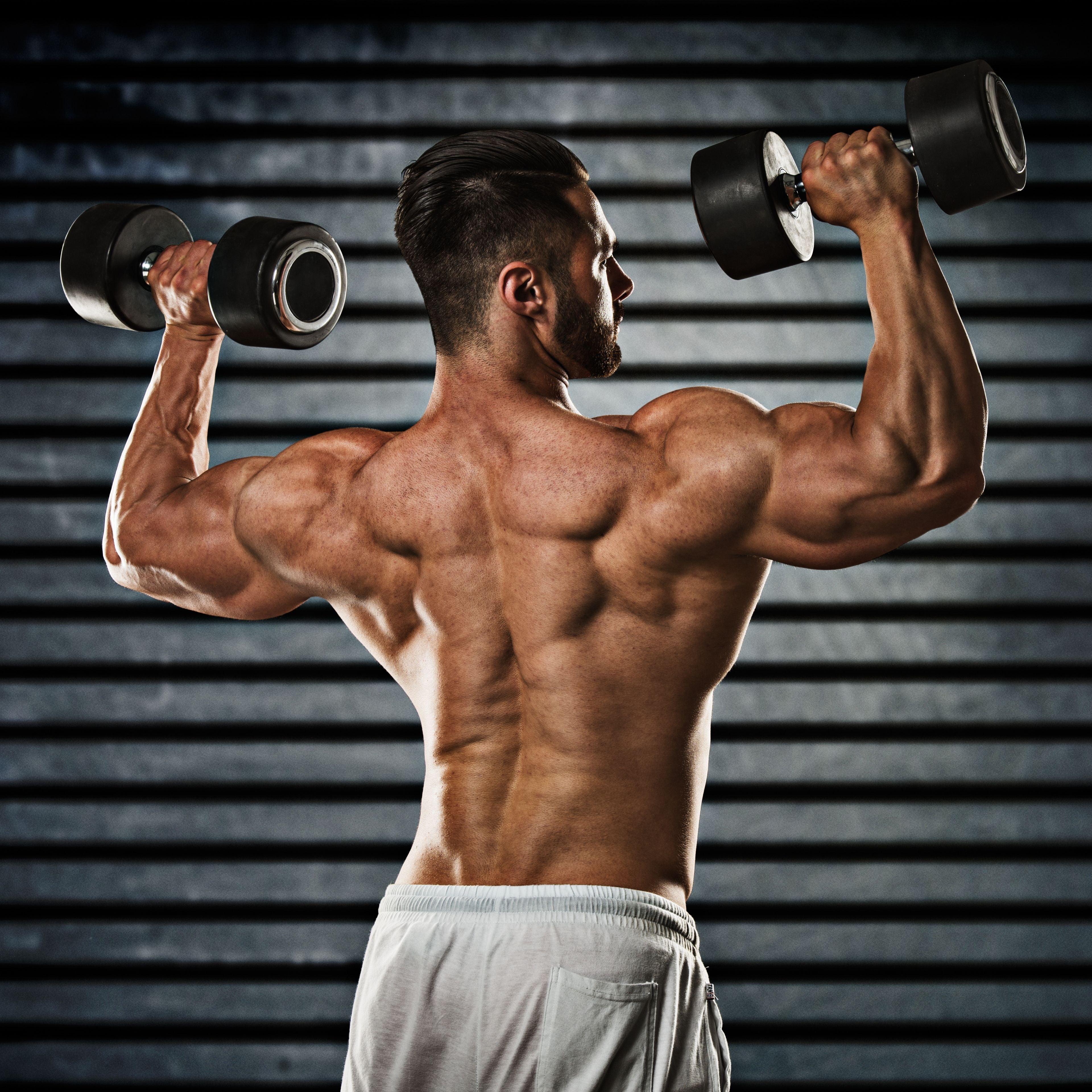 Alpha Extreme: The Best Testosterone Booster for Strength & Performance - Stealth Labz