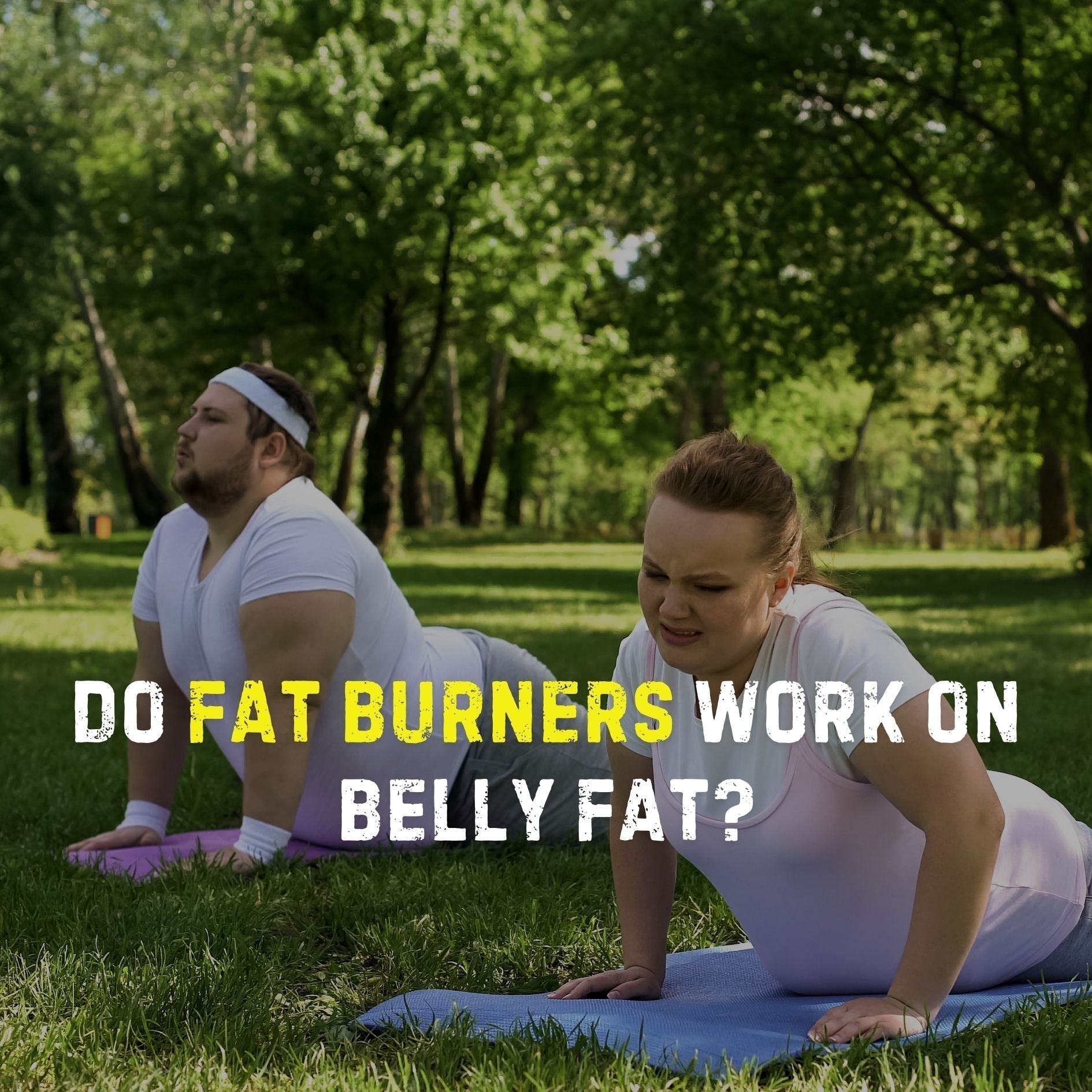 Introduction To Fat Burning Stack - Stealth Labz