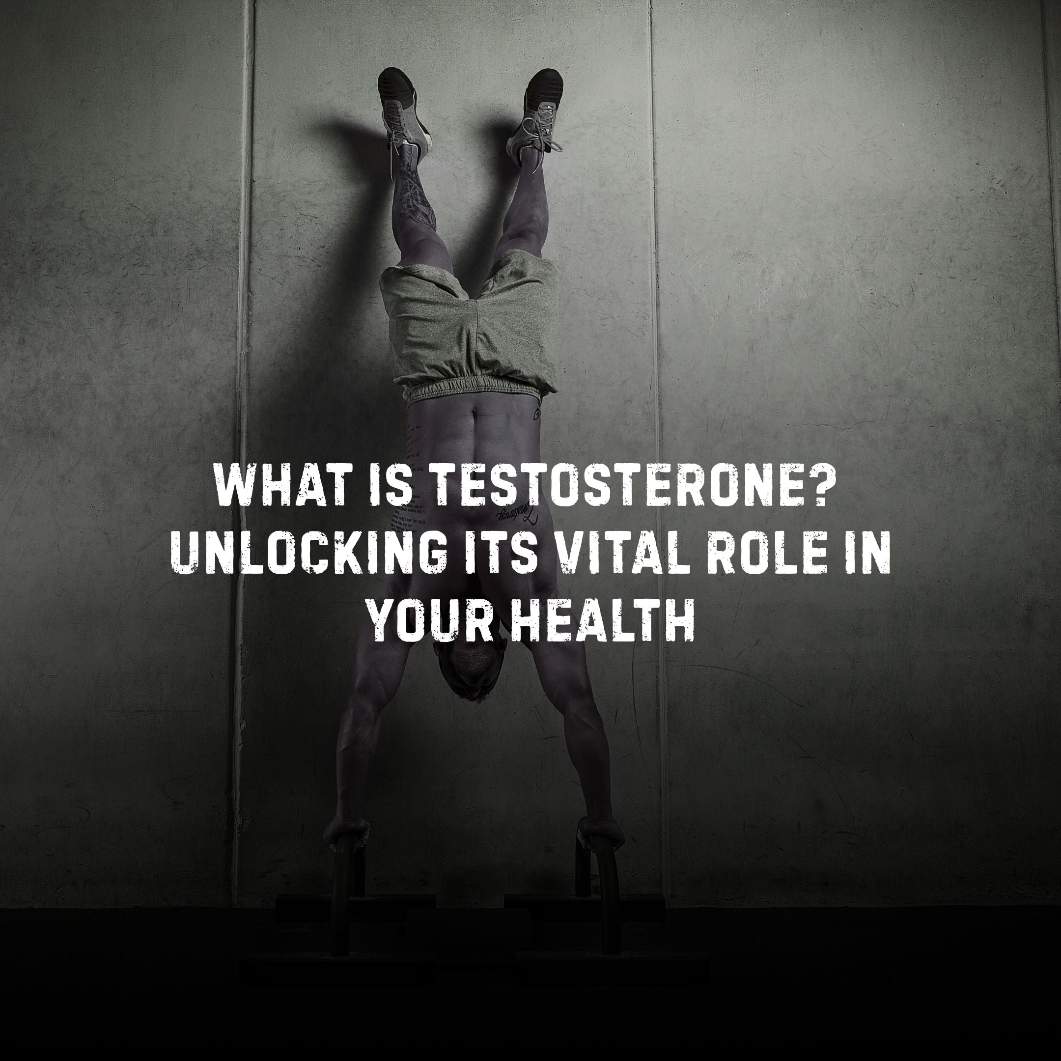Best Supplements for Athletic Performance and Testosterone Health - Stealth Labz