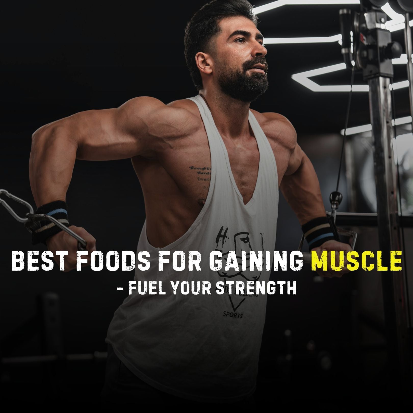 Best Foods For Gaining Muscle