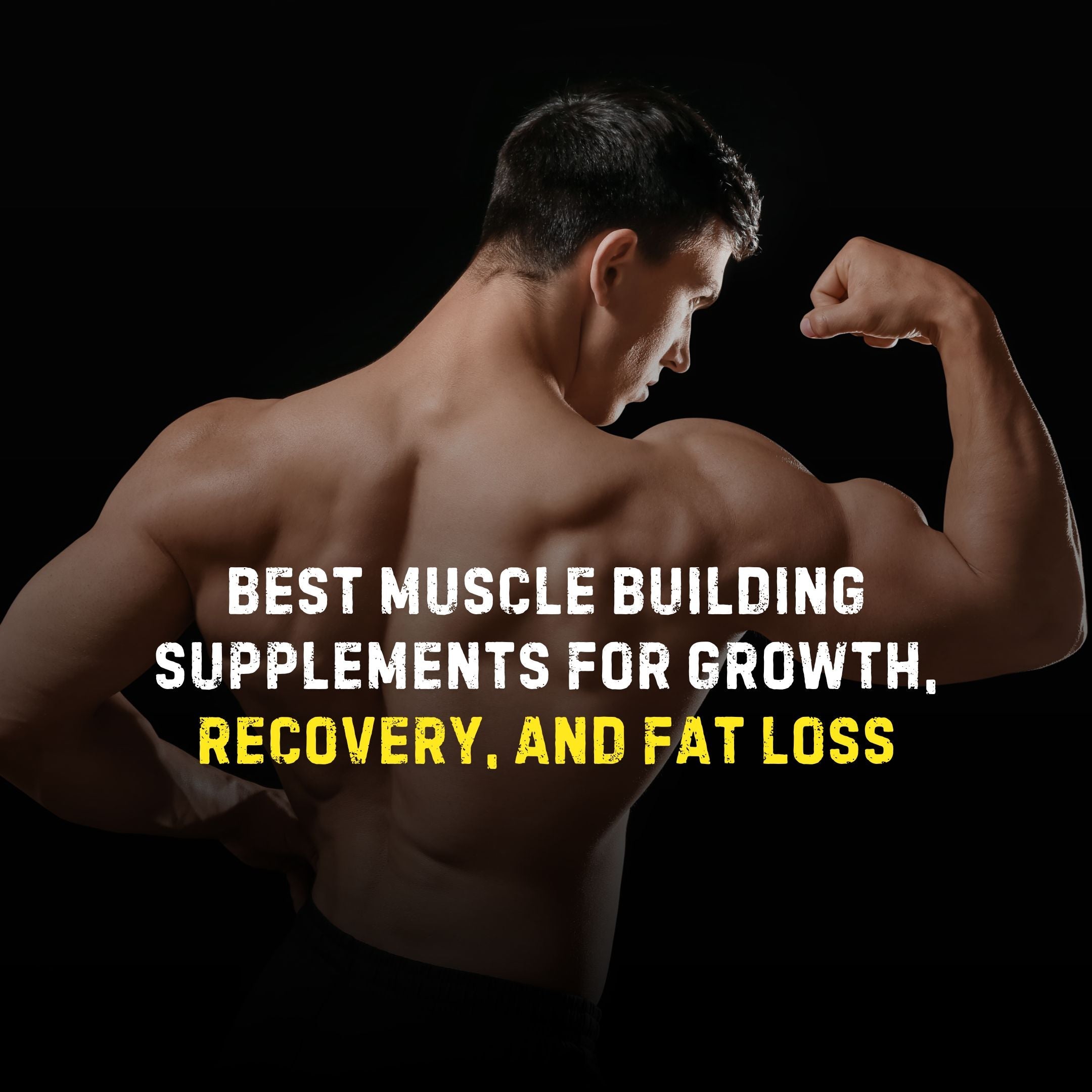 Best Muscle Building Supplements for Growth, Recovery, and Fat Loss