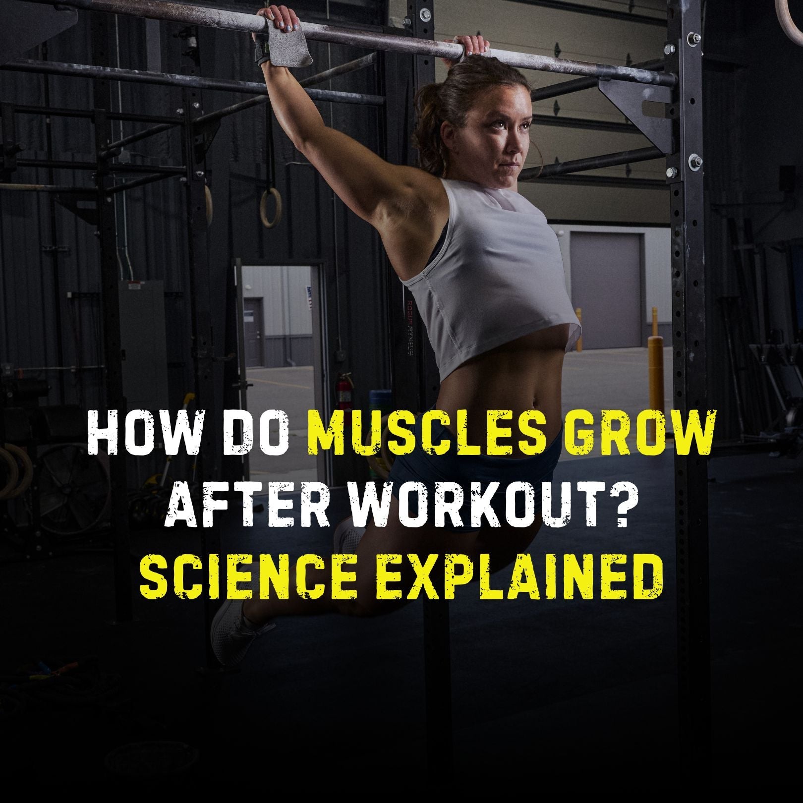 How Do Muscles Grow After Workout