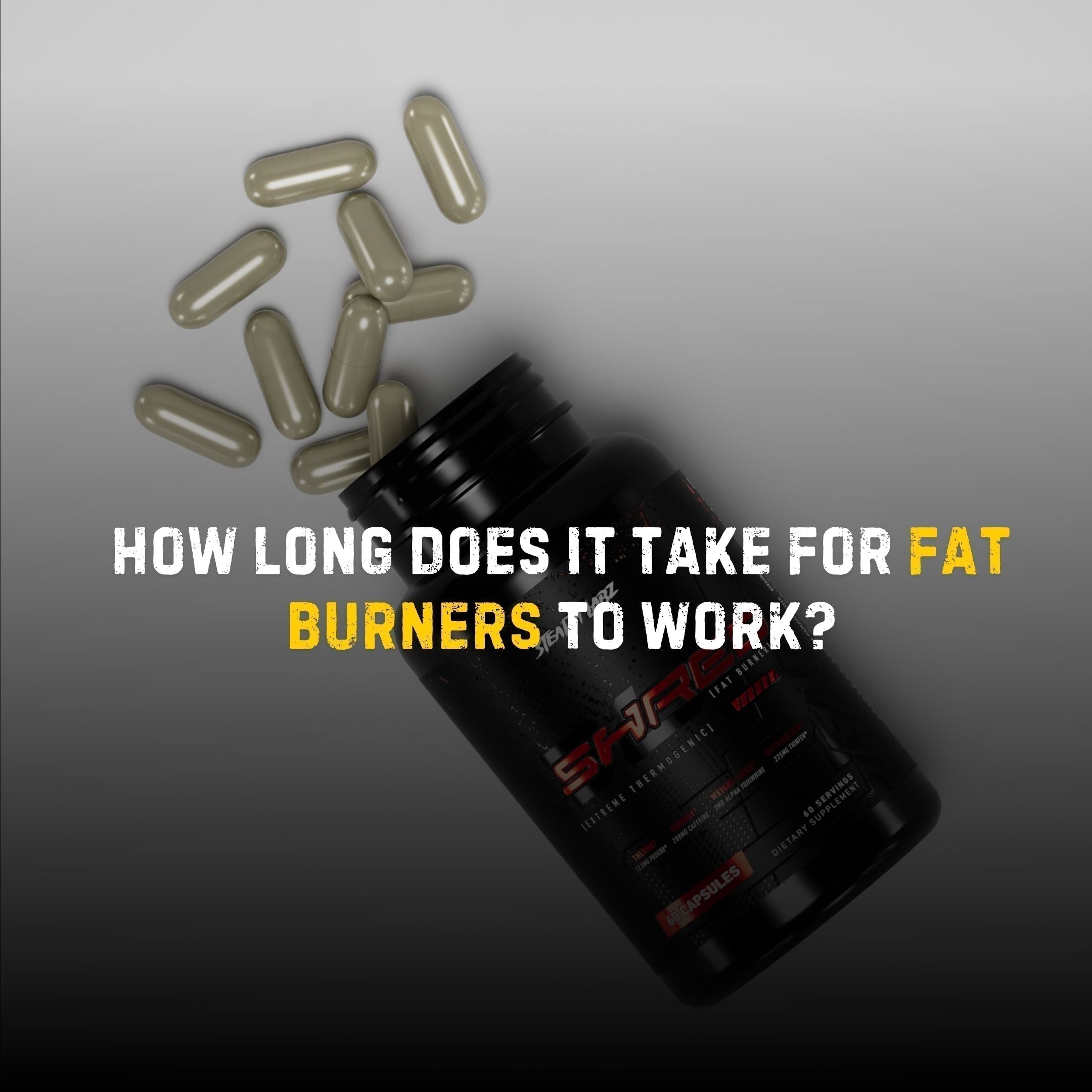 Stealth Labz SHRED fat burner capsules with a clock graphic showing fat burner results timeline