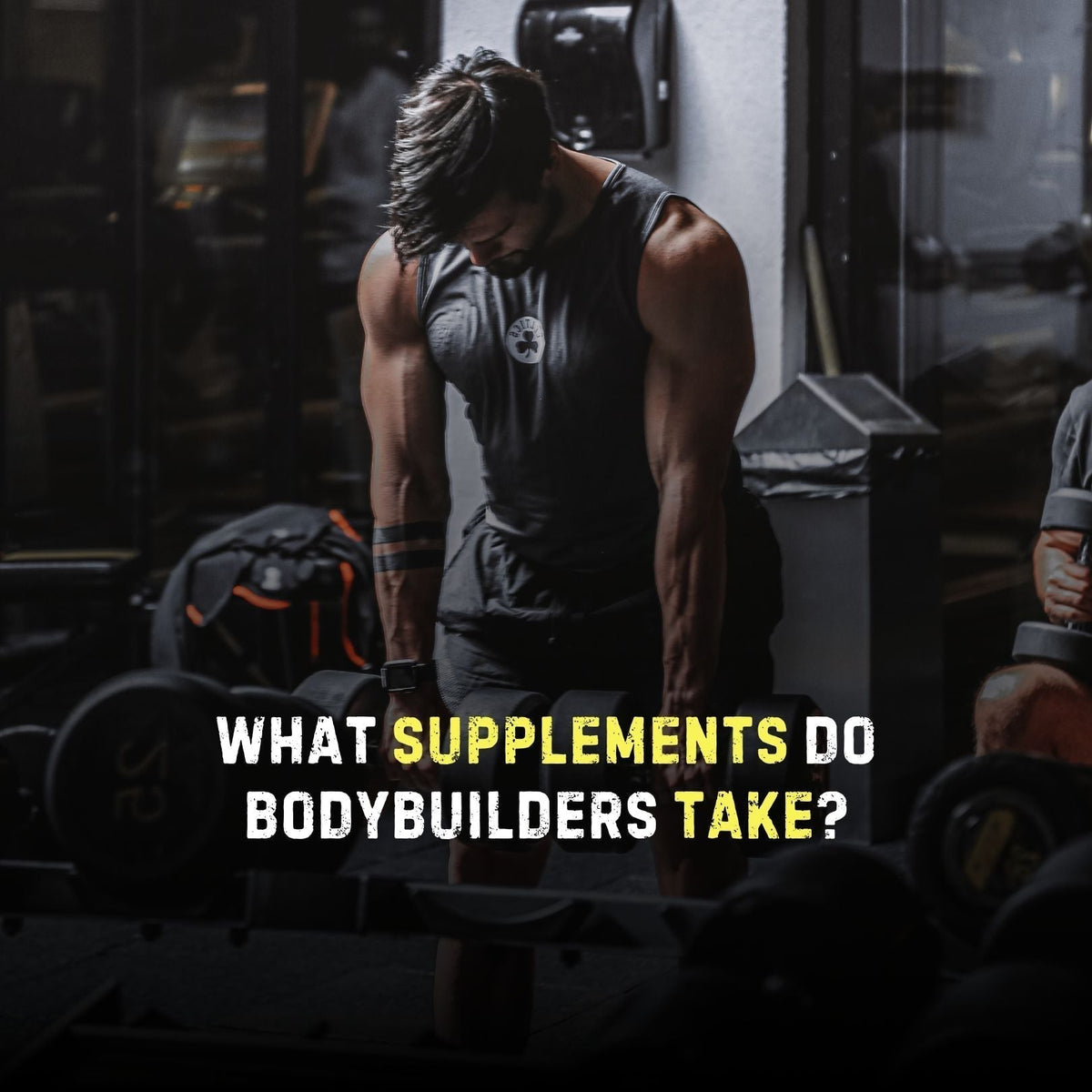 What Supplements Do Bodybuilders Take
