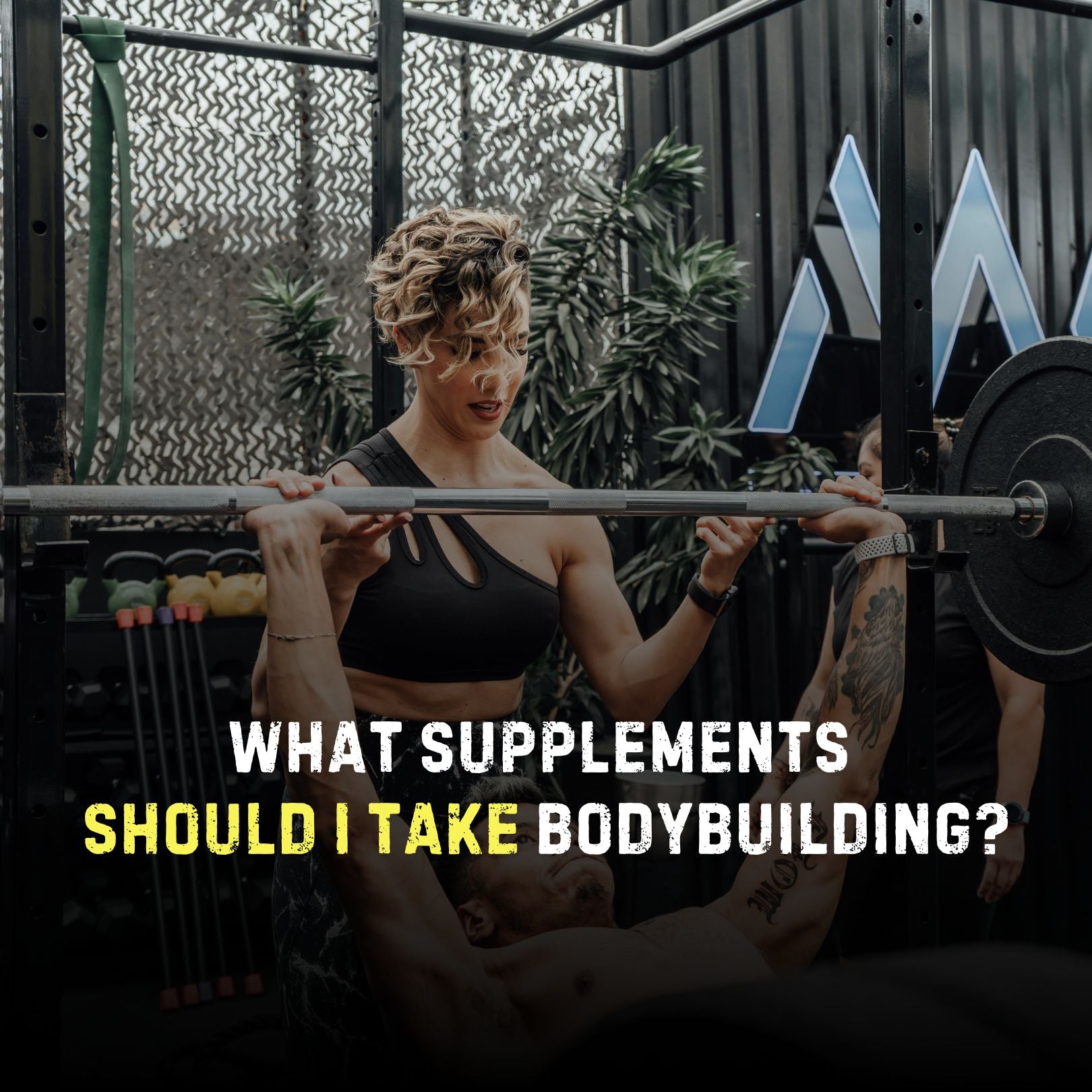 What Supplements Should I Take Bodybuilding
