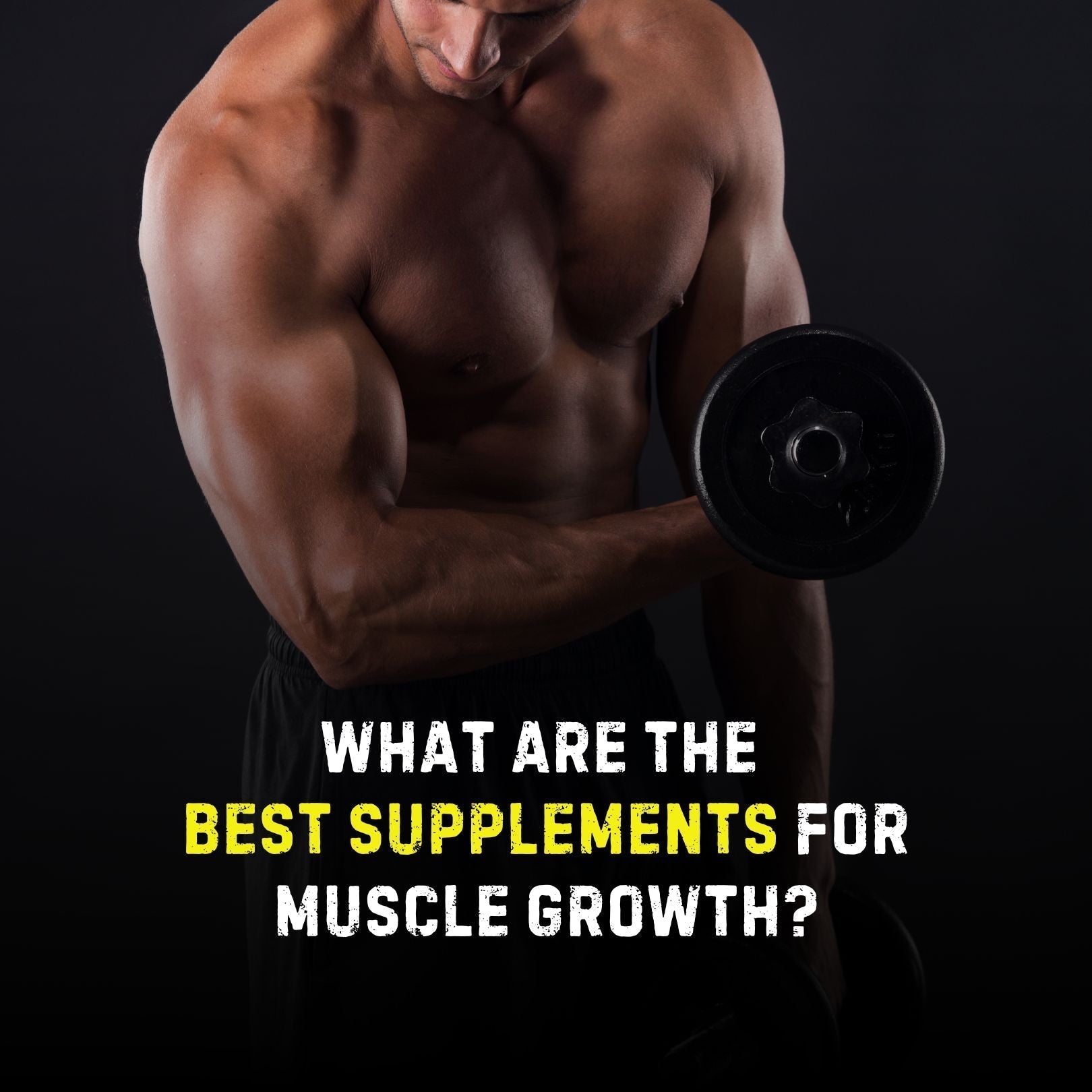 What are the Best Supplements for Muscle Growth