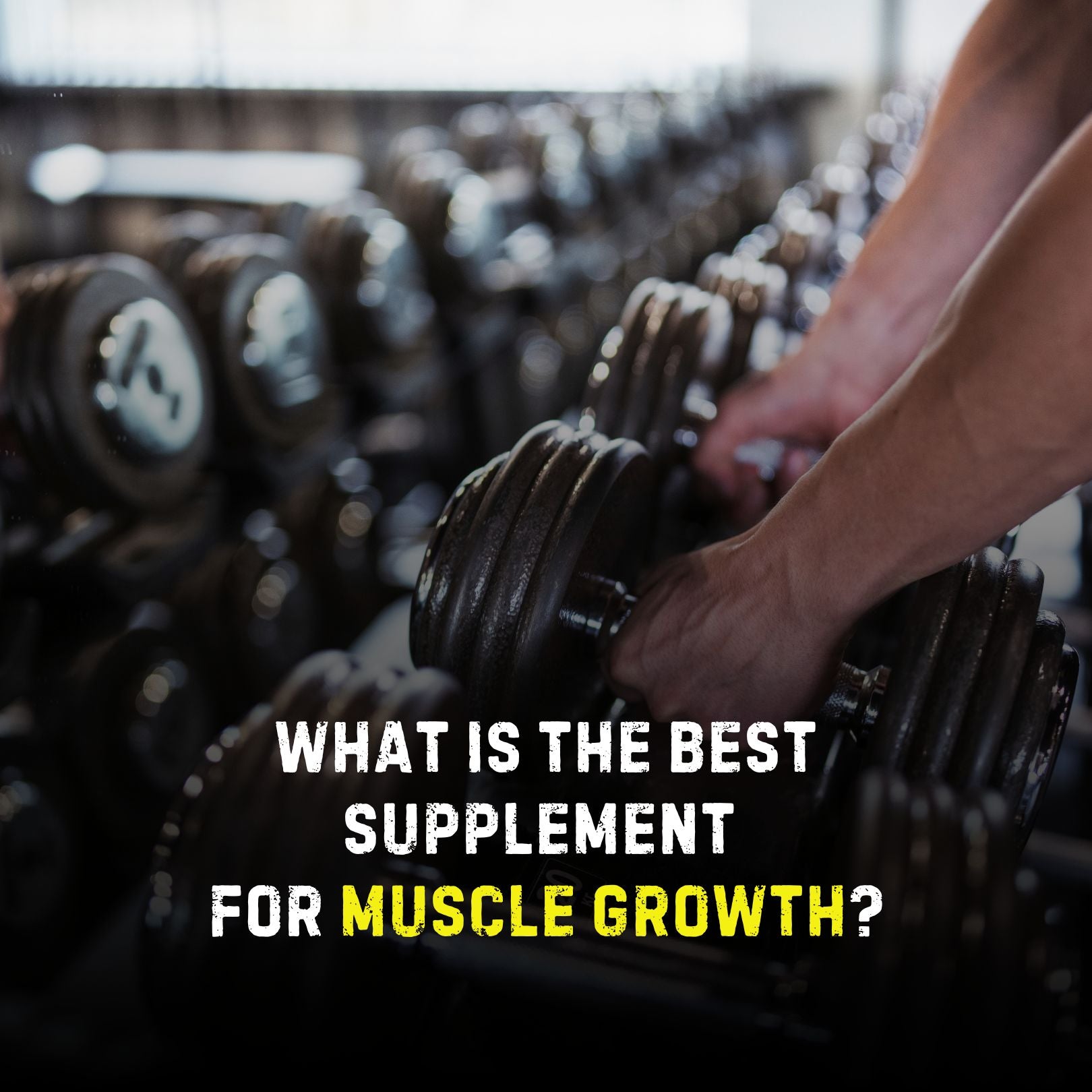 What is the Best Supplement for Muscle Growth