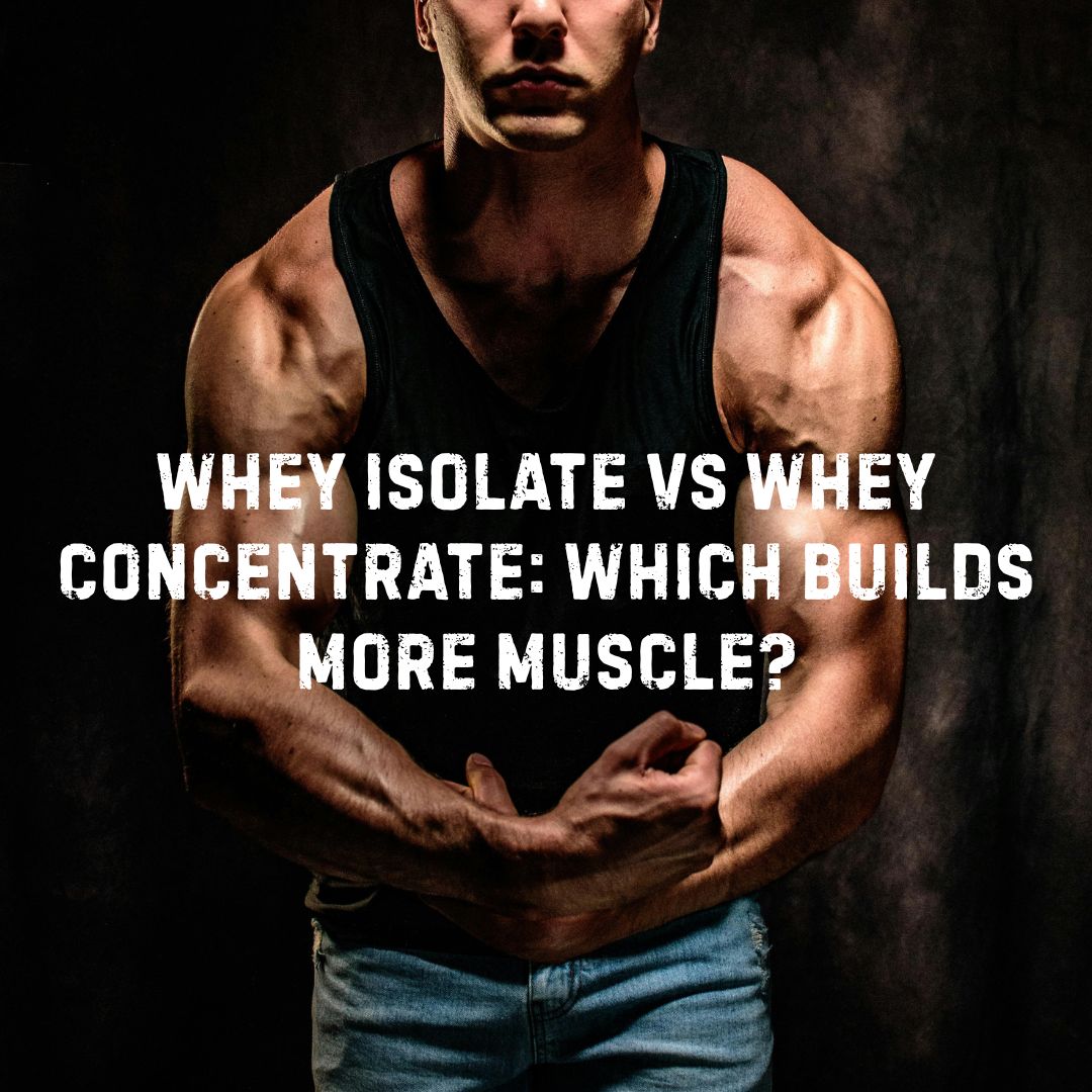 Whey Isolate vs Whey Concentrate: Which Builds More Muscle?